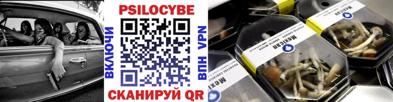 Псилоцибиновые грибы MAGIC MUSHROOMS  даркнет сайт  Шелехов 